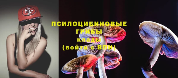 mdpv Белокуриха
