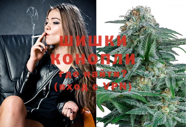 mdpv Белокуриха