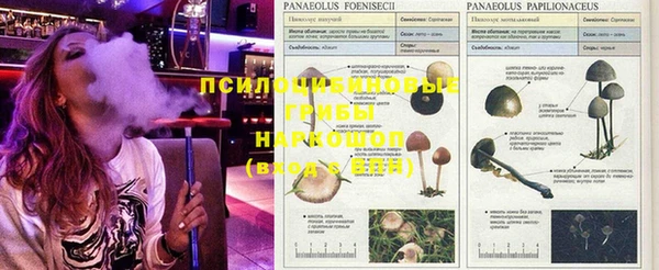 mdpv Белокуриха