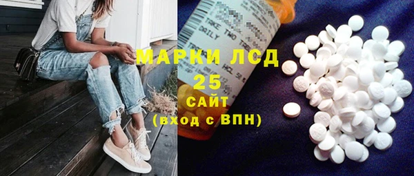 ПСИЛОЦИБИНОВЫЕ ГРИБЫ Богданович