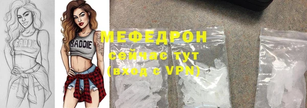 индика Богородицк