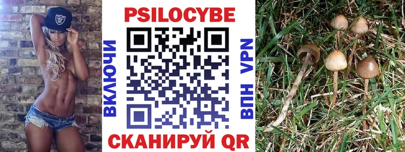 кракен вход  Невельск  Галлюциногенные грибы ЛСД  хочу  